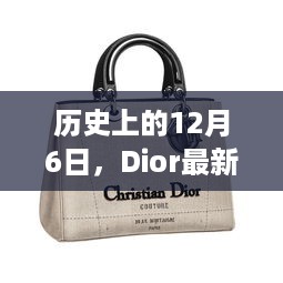 Dior最新款手袋全方位评测与介绍，历史时刻回顾