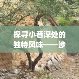 涉县交通事故背后的故事，探寻小巷深处的独特风味