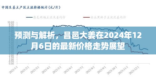 昌邑大姜2024年12月6日价格走势预测与解析