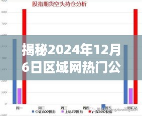 揭秘，区域网热门趋势预测与热点分析——2024年12月6日公布报告