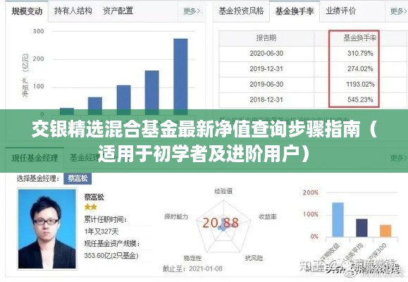 交银精选混合基金最新净值查询指南，初学者与进阶用户适用