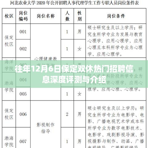 保定双休热门招聘信息深度评测与介绍，历年12月6日数据分析