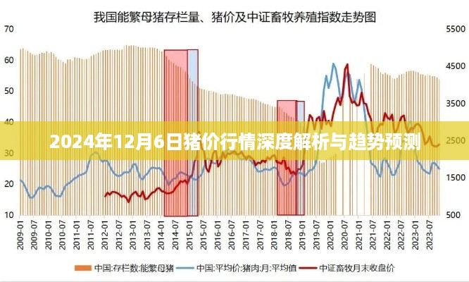 2024年12月6日猪价行情深度解析及趋势预测