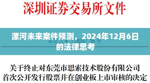 漯河未来案件预测，法律思考下的前瞻分析（2024年12月6日）