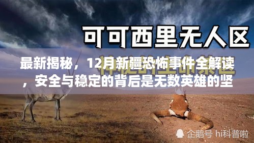 揭秘新疆安全背后的英雄坚守，最新恐怖事件全解读与深度剖析