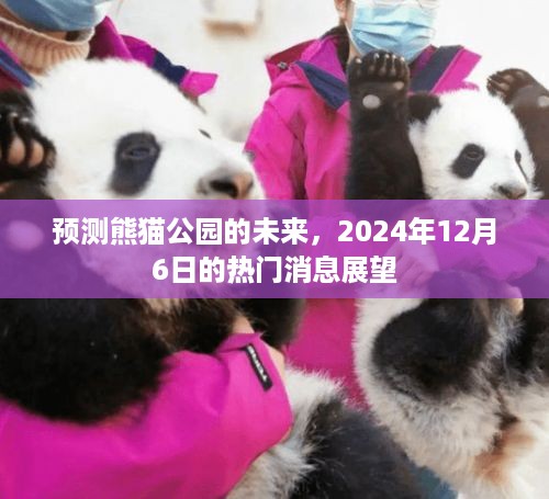 熊猫公园未来展望，2024年热门消息揭秘