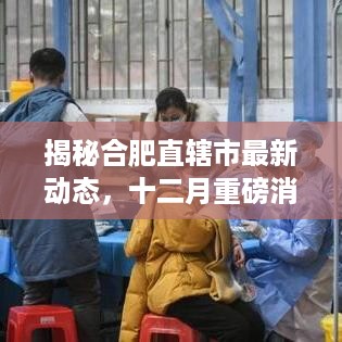 揭秘合肥直辖市最新动态，十二月重磅消息全解析