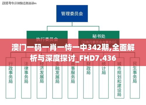 澳门一码一肖一恃一中342期,全面解析与深度探讨_FHD7.436