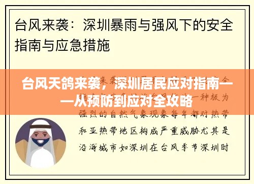 台风天鸽来袭，深圳居民应对全攻略，预防到应对指南