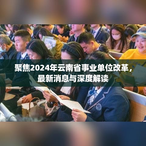 聚焦2024年云南省事业单位改革，最新消息与深度解读报告