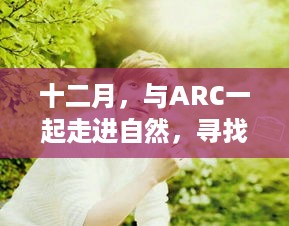 十二月，与ARC一起走进自然，寻找心中的宁静乐园