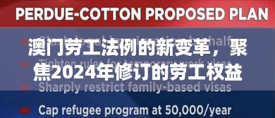 澳门劳工法例新变革，聚焦2024年修订的劳工权益保障概览