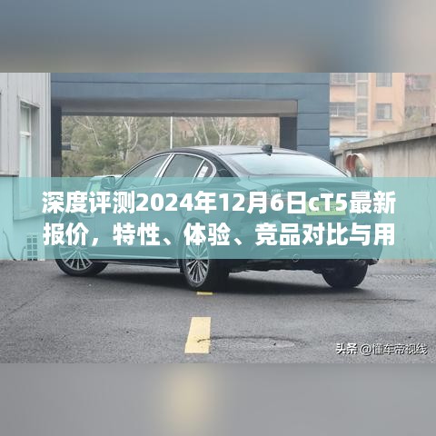 2024年12月8日 第11页