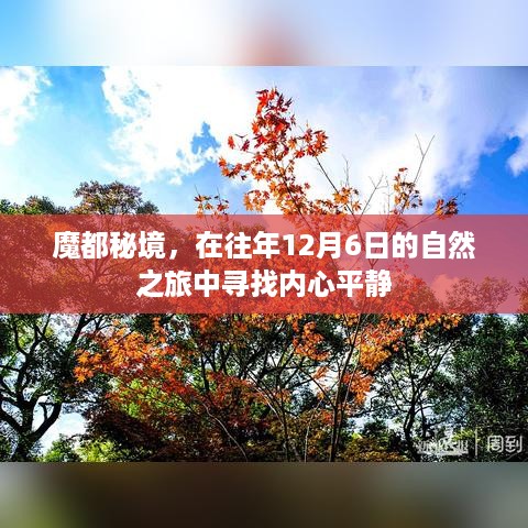 魔都秘境，在年末自然之旅中寻找内心平静