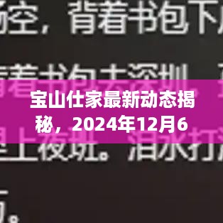 宝山仕家最新动态深度剖析，2024年12月6日揭秘