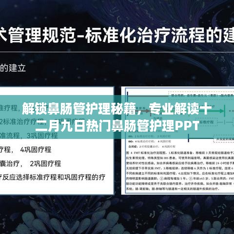 解锁鼻肠管护理秘籍，专业解读最新热门鼻肠管护理PPT