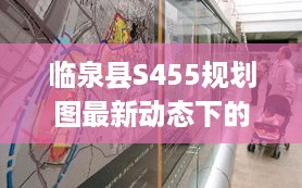 临泉县S455规划图最新动态下的城市规划深度探析，专家XX观点解读