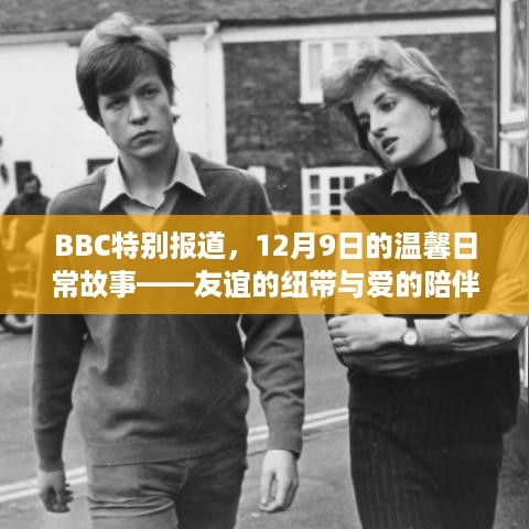 BBC特别报道，友谊的纽带与爱的陪伴——12月9日的温馨日常故事