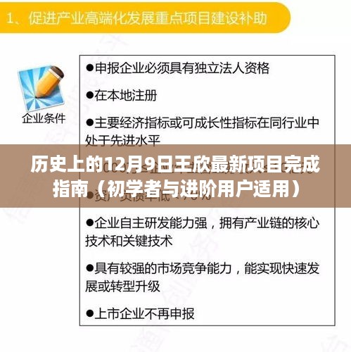 王欣最新项目完成指南，历史上的十二月九日，适合初学者与进阶用户参考