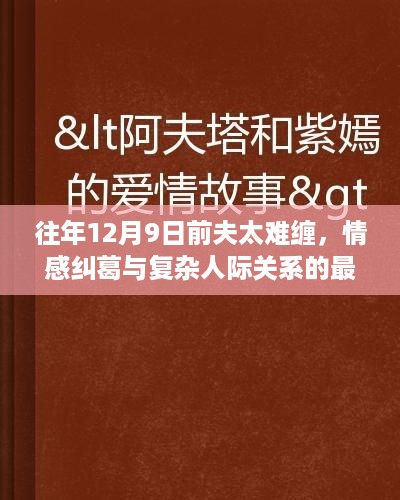 前夫纠缠与情感纠葛，最新章节揭示复杂人际关系的挑战