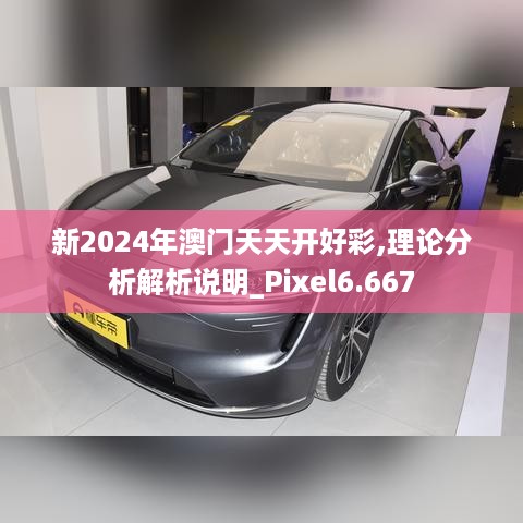 新2024年澳门天天开好彩,理论分析解析说明_Pixel6.667