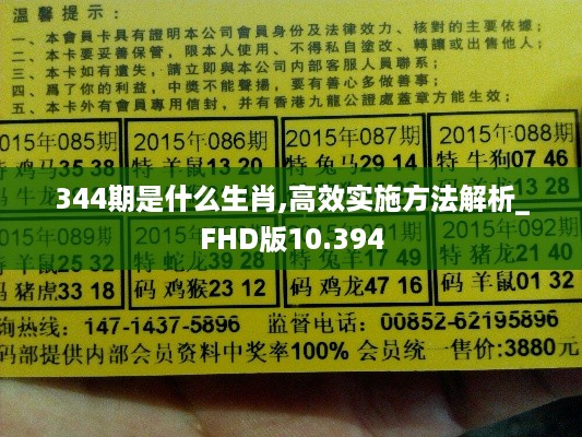 344期是什么生肖,高效实施方法解析_FHD版10.394