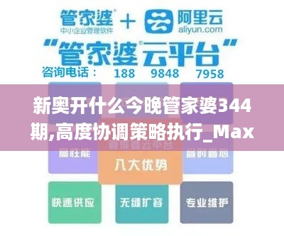 新奥开什么今晚管家婆344期,高度协调策略执行_Max4.873