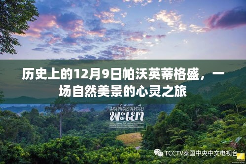 帕沃英蒂格盛自然美景的心灵之旅，历史性的12月9日纪念