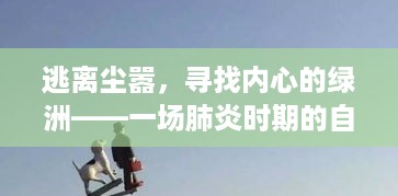 疫情下的心灵归宿，自然探索之旅，寻找内心的绿洲