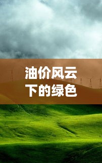 油价风云下的绿色避风港，与自然美景的实时对话之旅