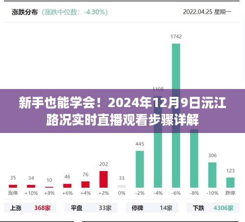 新手指南，如何观看2024年12月9日沅江路实时直播路况解说