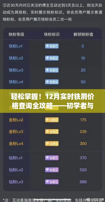 初学者与进阶用户必备，12月实时铁屑价格查询全攻略轻松掌握