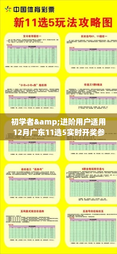 广东11选5实时开奖参与全攻略，适合初学者与进阶用户的12月指南