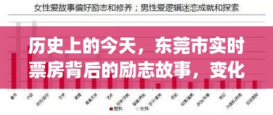 东莞市实时票房背后的励志故事，变化铸就自信与成就感历史探秘