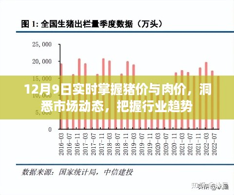 12月9日猪价肉价动态与行业趋势洞悉