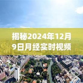 揭秘，女性生理周期科学视角下的探索——2024年12月9日月经实时视频详解