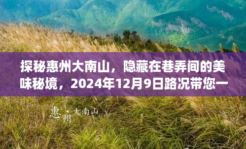 探秘惠州大南山巷弄间的美味秘境，路况带您体验美食之旅，2024年12月9日独家报道