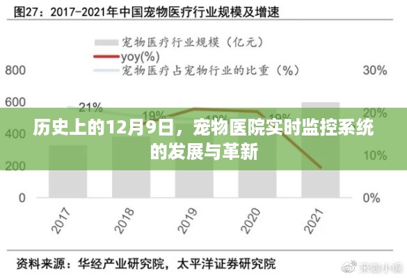 宠物医院实时监控系统的发展与革新，历史视角下的12月9日纪事