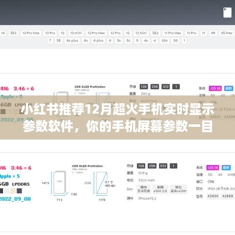 2024年12月10日 第53页