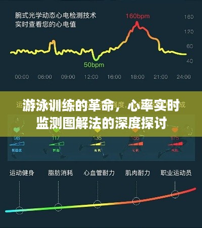 游泳训练的革命，心率实时监测图解法的探索与深度探讨