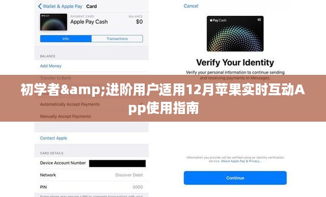 初学者与进阶用户适用的苹果实时互动App 12月使用指南