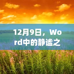 12月9日，与自然共舞，Word中的静谧之旅，探寻内心平和的力量