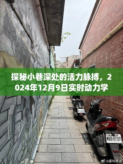 探秘小巷深处的活力小店，实时动力学绑定下的独特魅力（2024年12月9日）