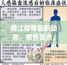 阳江疫情最新动态实时更新（12月9日聚焦要点）