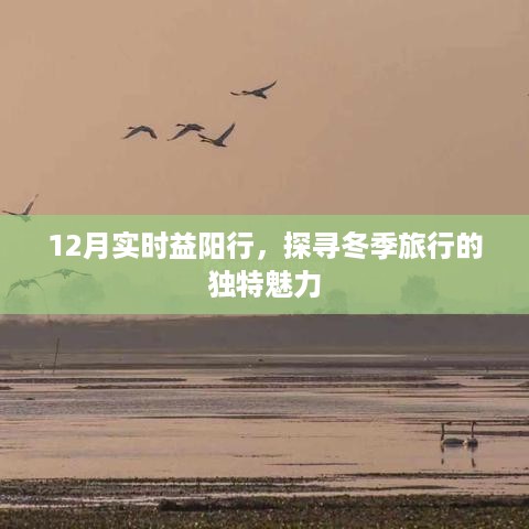 探寻冬季益阳的独特魅力，12月实时旅行记