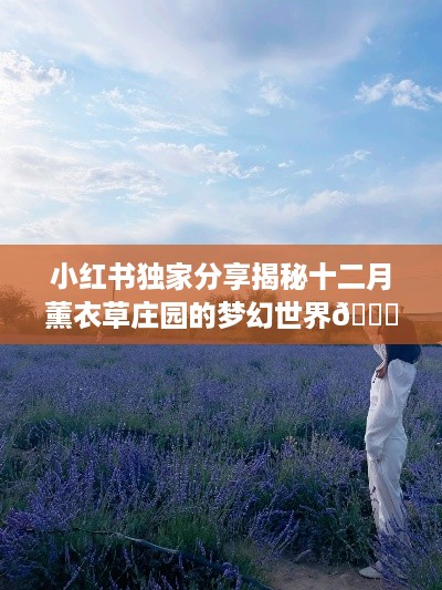 小红书独家揭秘，十二月薰衣草庄园梦幻之旅💜