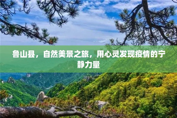 鲁山县，自然美景之旅，疫情中的宁静力量探索