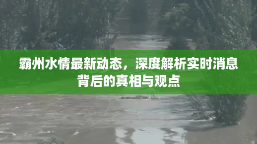 霸州水情最新动态解析，实时消息真相与观点深度探讨