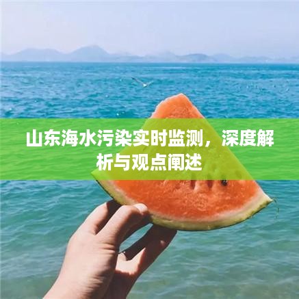 山东海水污染实时监测，深度分析与观点阐述