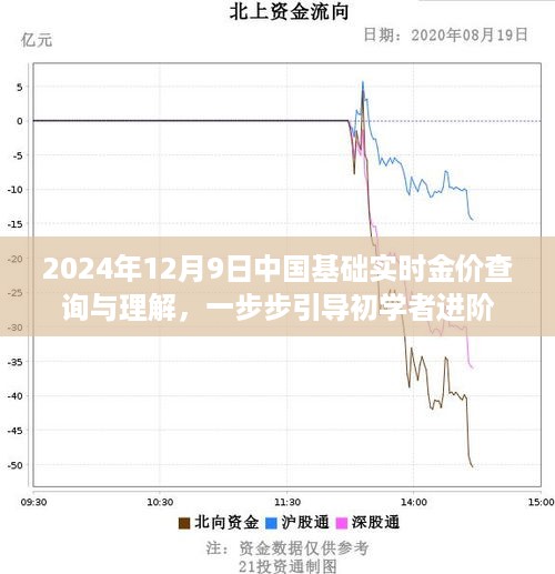 初学者必备指南，2024年12月9日中国基础实时金价查询与深度理解